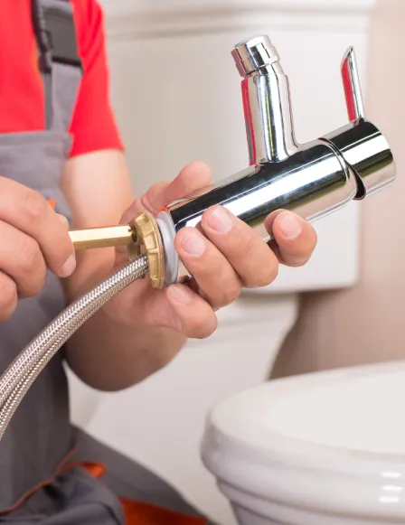 Image Content Frame (2)